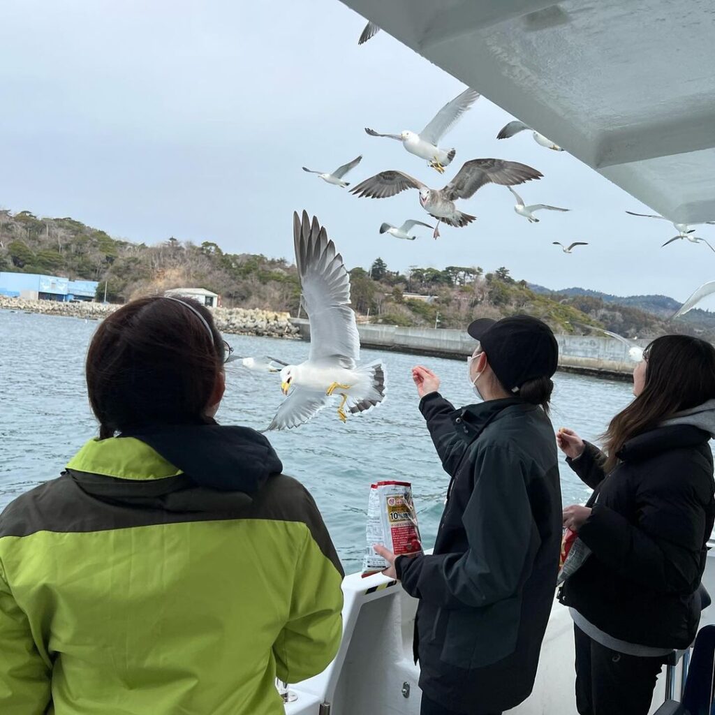 カモメの餌やり