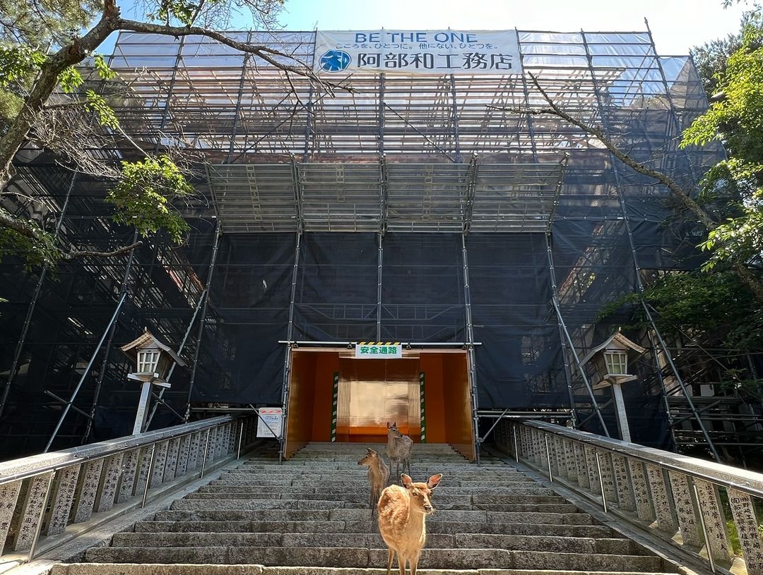 華山黄金山神社『随神門屋根葺替工事』