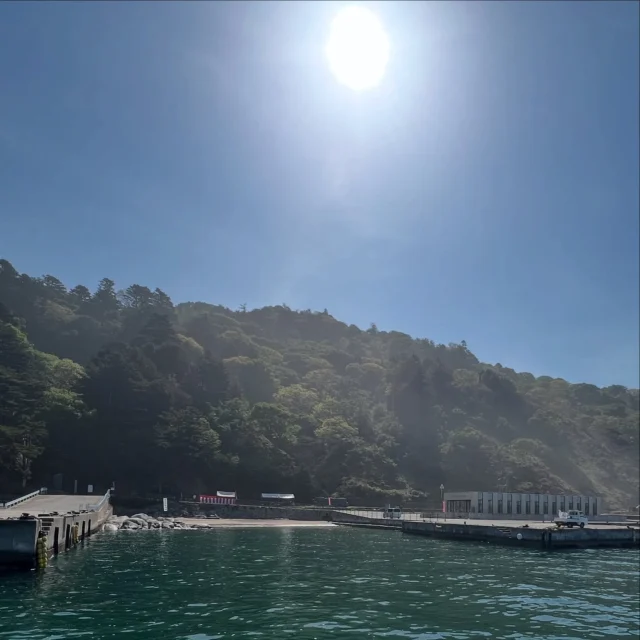 みちのくのやまに黄金花咲く金華山　霊島　金華山黄金山神社　

令和7年5月18日 (日) 初巳大祭神輿渡御 

昨日は高波のため終日欠航でしたが、今日は何とか予定通り全便運航でき、令和7年 金華山黄金山神社初巳大祭神輿渡御は、無事執り行われました。

#金華山  #金華山黄金山神社  #神社 
#霊島  #金運  #開運  #商売繁盛 
#パワースポット #神輿  #神輿渡御 
#牡鹿半島  #鮎川港  #金華山観光 
#金華山観光クルーズ  #定期船ホエール  #海上タクシーくろし
#金華山フェリー  #金華山定期船
#金華山船  #金華山海上タクシー
